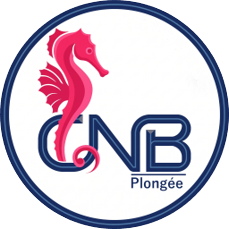 Assemblée Générale CNB